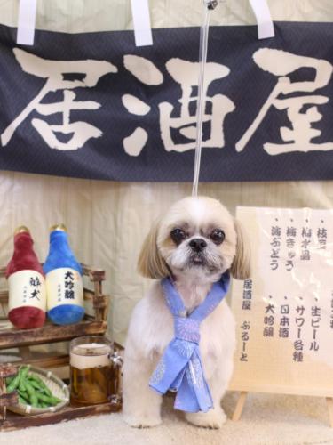 20240616ちょびくん